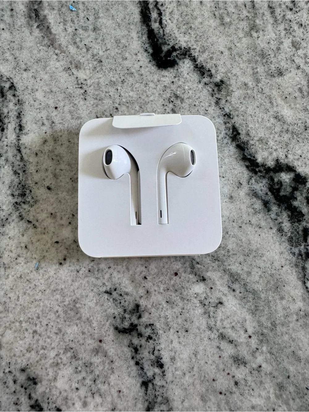Apple Wired Earphones with lightening connector